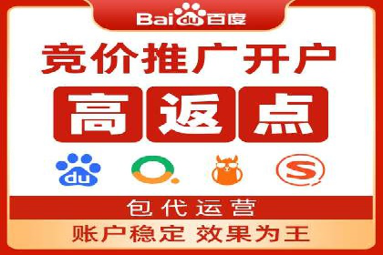 SEM服务案例：助力企业拓展海外市场